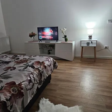Mis Lux Apartment Mladenovac